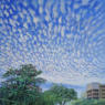 Clouds at Tampines   2017   Acrylic on canvas panel   30 x 30 cm   SGD1,500
