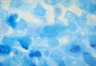 Composition in Blue   2015   Acrylic on canvas   29 x 21 cm   SGD500
